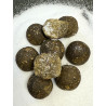 Kulki proteinowe "Biomix" Power GLM 3 kg 24 mm