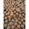 Kulki proteinowe "Wafters" Spicy Ocean Protein  20 mm